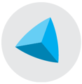company logo